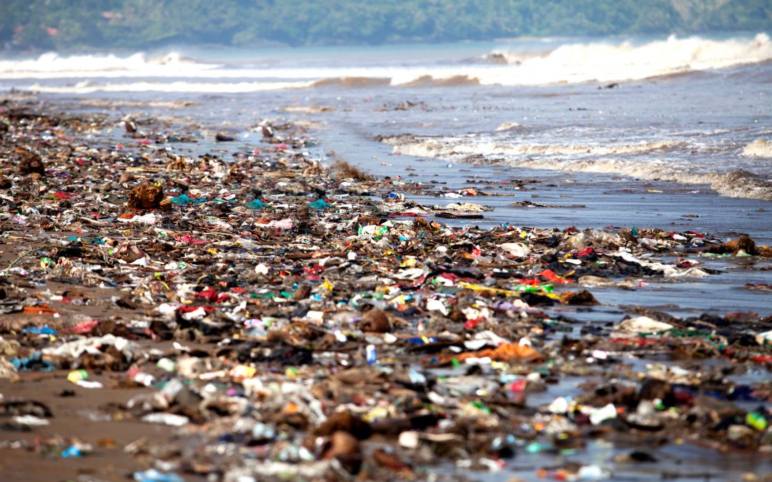 Devolver el Alma al mundo